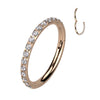 Crystal SIDE Paved Segment Clicker with Rose Gold Plating