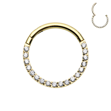 Crystal FRONT Paved Segment Clicker with Gold Plating